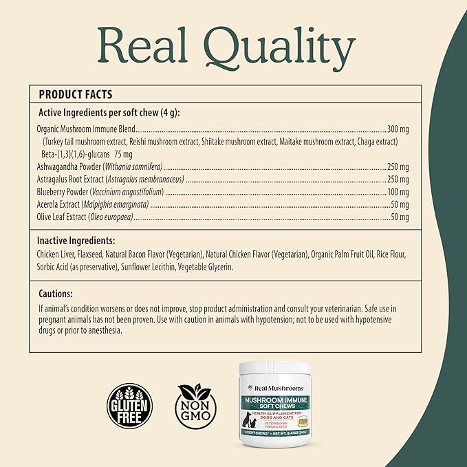 Real Mushroom Immune Pet Chews – For Daily Digestive & Immune Health – Mushrooms for Dogs & Cats Functional Treat – Mushroom Supplement for Dogs & Cats – 1 to 4 Chews For All Breeds & Sizes (60 Count)