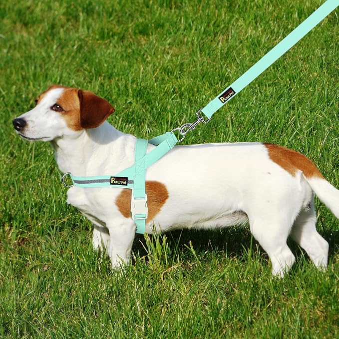 Plutus Pet Cotton Dog Harness and Leash Set, Reflective and Soft Padded, Quick Fit Vest Harness, for Small, Medium and Large Dogs, Light Cyan, L