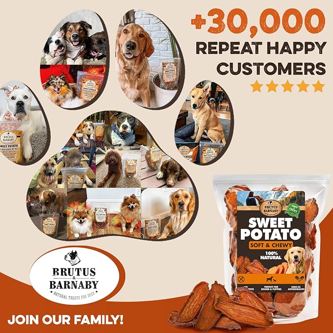 Sweet Potato Slices For Dogs - Soft & Chewy - Single Ingredient Dog Treats, Healthy 100% Natural Sweet Potato Dog Treats With No Added Preservatives - Softer & Great For Puppies Or Senior Dogs (2lb)