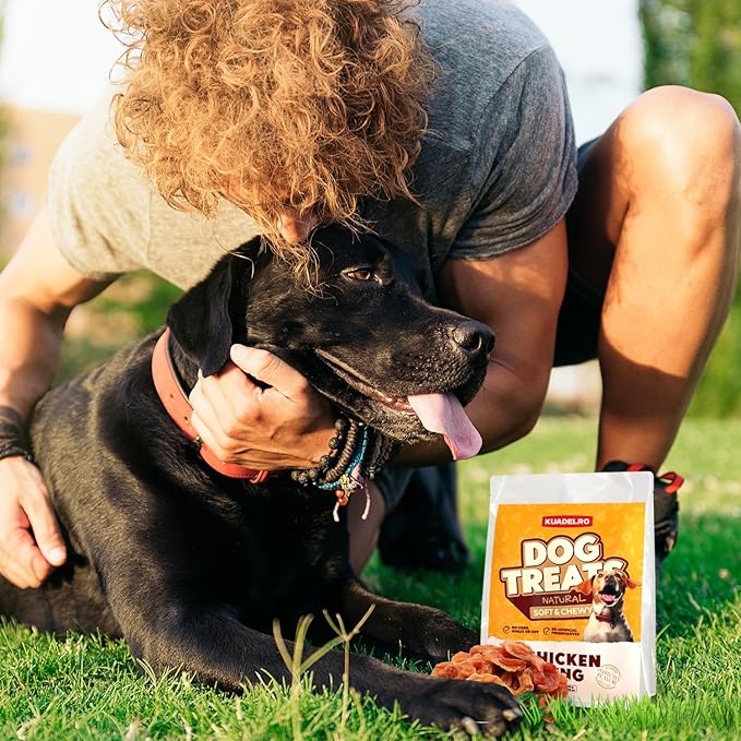 Chicken Rings Dog Treats, Natural Chicken Breast Jerky Rawhide-Free Soft Chews Healthy Dog Training Treats for Small Medium Large Breed 10.54oz