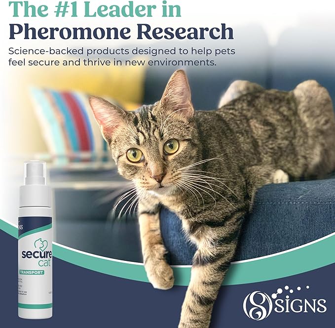 SecureCat Transport, Water Based Calming Travel Spray, Naturally Supports Calm and Well-Being, Naturally Relieving Anxiety and Stress