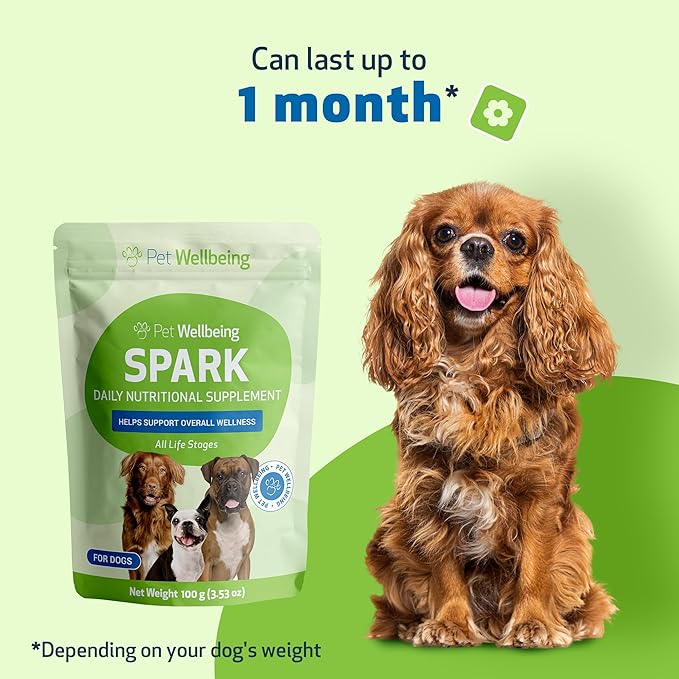 Pet Wellbeing Spark Daily Nutritional Greens Superfood for Dogs & Cats - Probiotics, Prebiotics, Digestive Enzymes, Amino Acids, Antioxidants, Vitamin D, Spirulina - Vet-Formulated 3.53 oz (100 g)