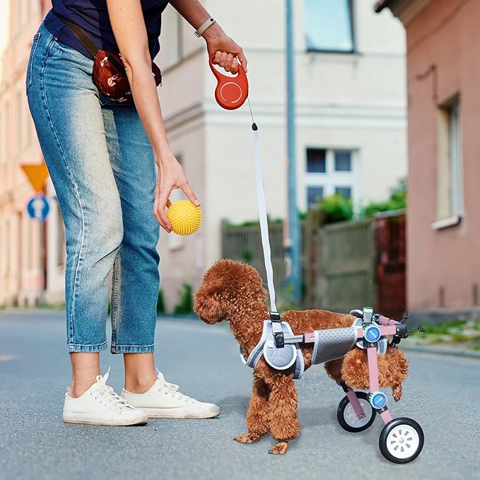 Adjustable Dog Wheelchair for Back Legs Mobility Support Lightweight Pet Wheelchair for Disabled Hind Legs Walking Stable Dog Cart for Pets
