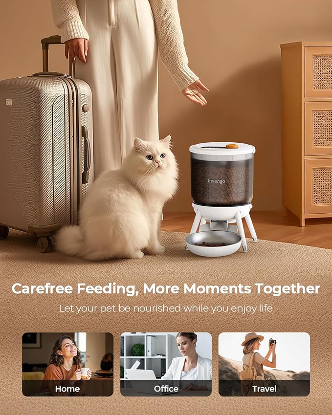 MeowServe B10 Automatic Cat Feeder, 3L Timed Pet Feeder with One-Touch Top Button Feeding, Dual Power, Anti-Bug Design, Visible Hopper, Up to 6 Meals Daily for Cats and Small Dogs