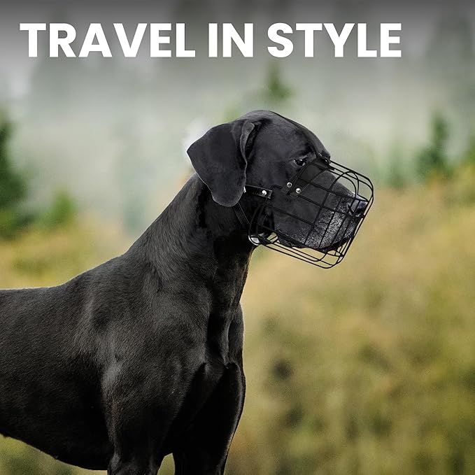 BRONZEDOG Dog Muzzle Adjustable Durable PVC Wire Basket for Large and Extra Large Dogs with Leather Straps Breathable, Drinkable, Training, Prevents Biting (PVC, Great Dane)