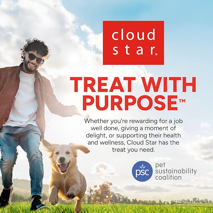 Dogswell Skin & Coat Jerky Dog Treats, Salmon, 10 oz. Bag