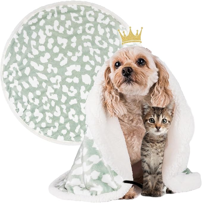Cat Blanket for Indoor Cats – 29" Soft Sherpa Fleece Pet Throw, Washable Reversible Dog Blanket for Small Dogs, Cats, Kittens, Couch Bed Sofa Car Protector – Sage