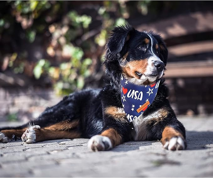 Realeaf 4th of July Dog Bandanas 2 Pack, Triangle Reversible American Flag Pet Patriotic Scarf for Boy and Girl, Premium Durable Fabric, USA Bandana for Large and Extra Large Dogs (X-Large)