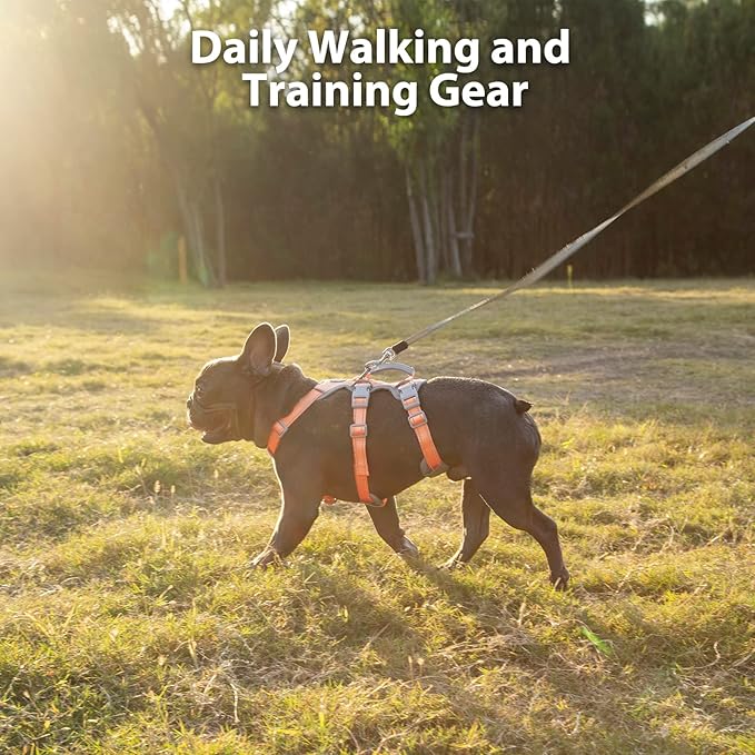 Huntboo Escape Proof Dog Harness, No Pull Reflective Harness with Lift Handle, Adjustable Pet Vest with Front and Back Leash Clips for Small Medium Large Dogs Walking Hiking Training (Orange,XL)