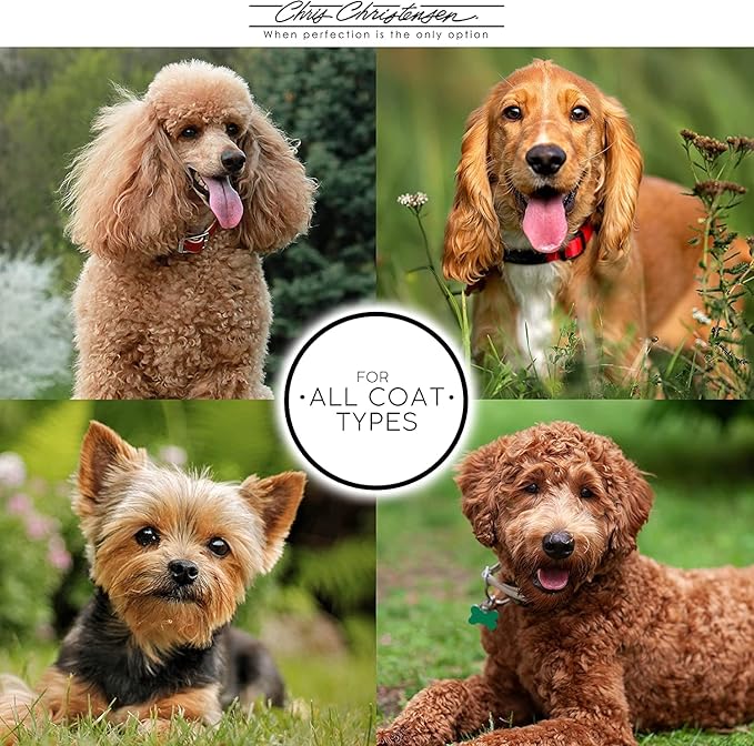 Chris Christensen 504 8.5 in. Fine/Coarse Greyhound-Style Butter Comb, Groom Like a Professional, Rounded Corners Prevent Friction and Breakage, Solid Brass Spin with Steel Teeth, Chrome Finish.