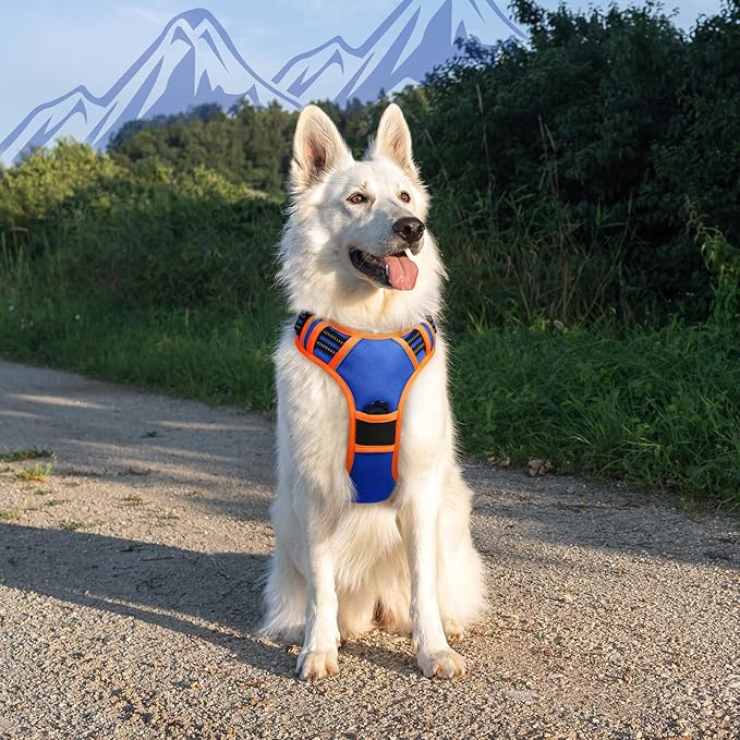 Eagloo Dog Harness for Large Dogs, No Pull Service Vest with Reflective Strips and Control Handle, Adjustable and Comfortable for Walking, No Choke Pet Harness with 2 Metal Rings, Blue & Orange, XL