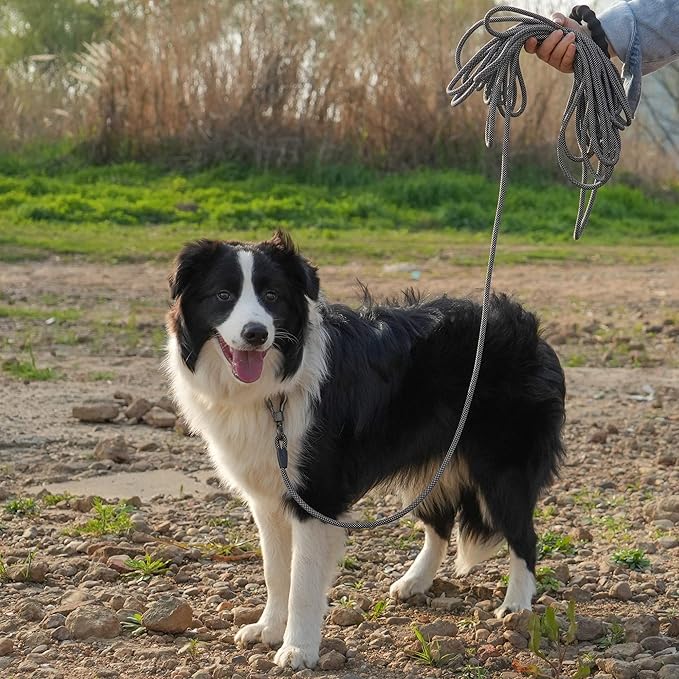 NTR Long Leash for Dog Training, 100FT Dog Leashes for Large Breed Dogs with Swivel Lockable Hook and Comfortable Padded Handle,Dog Lead Check Cord for Small Medium and Large Dogs