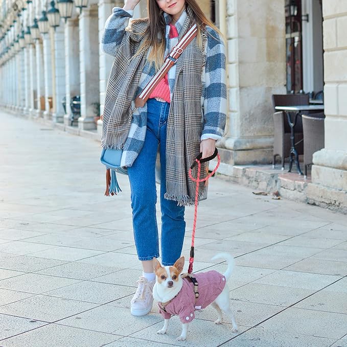 GEIT 2/4/5/6FT Dog Leash, Heavy Duty Rope Leashes, Reflective Nylon Pet Lead with Aluminum Quick Release/Locking Tactical Frog Clip for Small Medium and Large Dogs, Pink, 1/2 inch