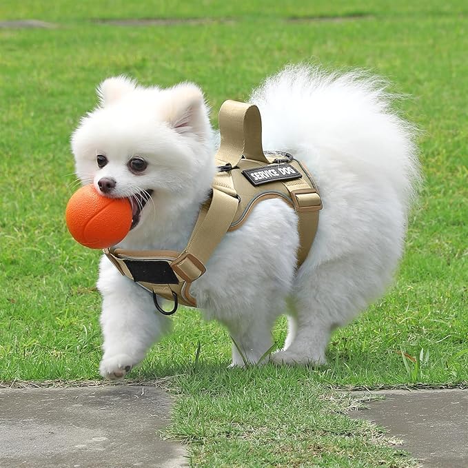 Demigreat Service Dog Harness, Reflective Dog Vest Harness with 5 PCS Patches, Adjustable Soft Oxford Pet Harness, Inner Layer Mesh, Easy to Control for Small Medium Large Dogs