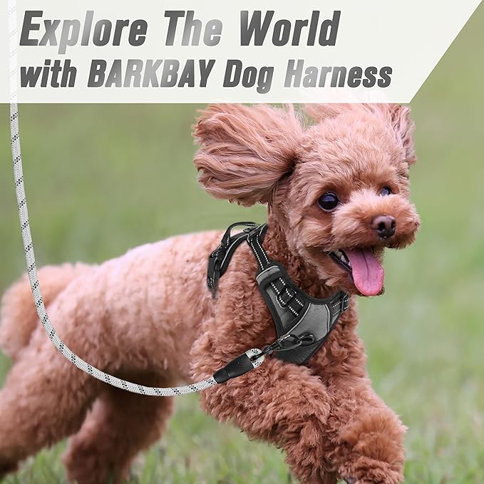 BARKBAY No Pull Dog Harness Front Clip Heavy Duty Reflective Easy Control Handle for Large Dog Walking(Dark Grey,XS)