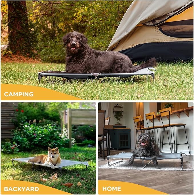 Daisy Cot, Large Foldable Elevated Dog Bed, Portable Raised Outdoor Folding Dog Cot, Cooling, Chew Proof, Waterproof, Heavy Duty Up to 160 lbs for Camping/Home, Grey, 43"x 27"x7"