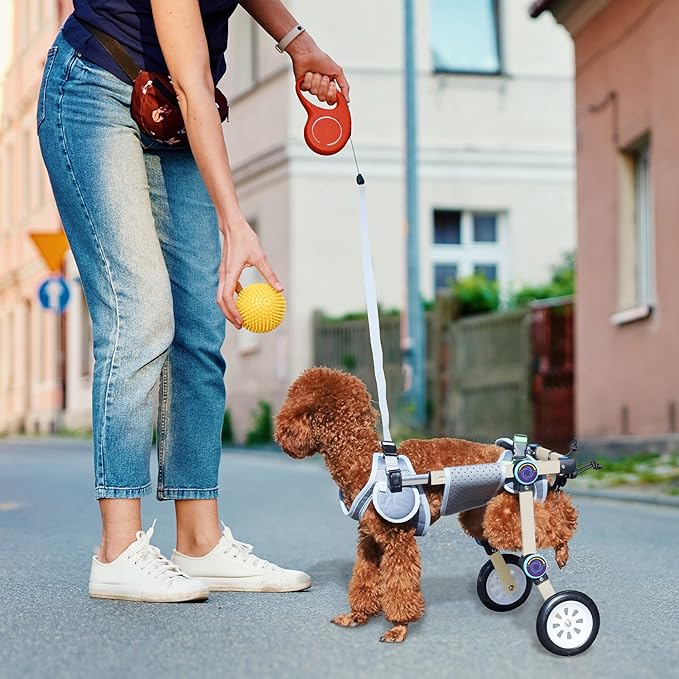 Adjustable Dog Wheelchair for Back Legs Mobility Support Lightweight Pet Wheelchair for Disabled Hind Legs Walking Stable Dog Cart for Pets