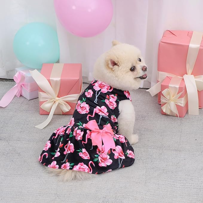 CuteBone Velvet Dog Dresses for Small Dogs, Stylish & Soft Fabric, Comfortable Fit for Everyday Wear, Perfect for Special Occasions NCVA11S