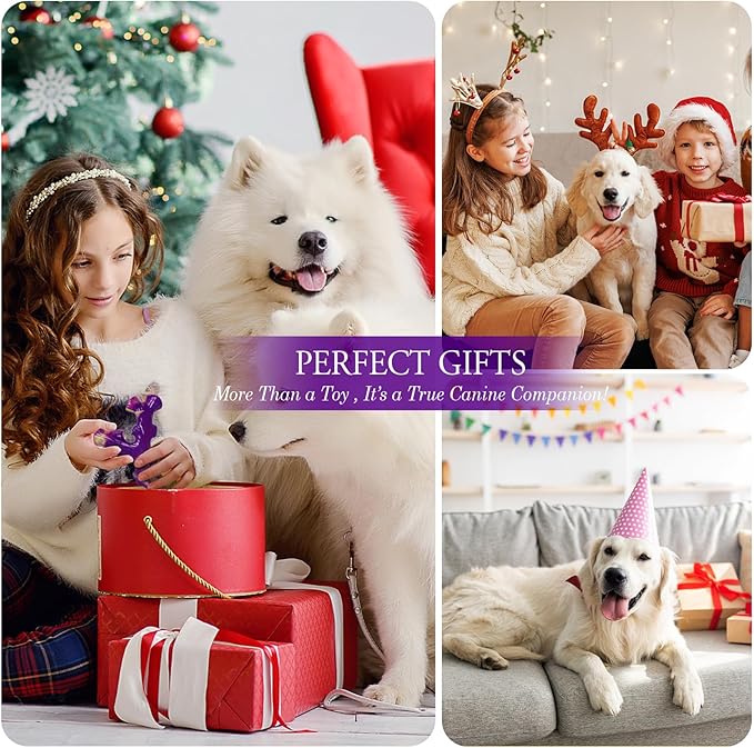 6-Pack Dog Toys for Aggressive Chewers: Dog Toy for Aggressive Chewer Large Breed, Dog Toy to Keep Them Busy, Dog, Bacon Flavor