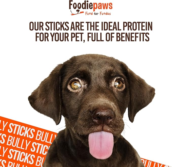 FOODIEPAWS Bully Stick Bites for Dogs, 1 lb Bulk Pack (2-3 Inch) | Training Treats | All Natural, Grass-Fed Beef Pizzle | Grain-Free, Rawhide-Free & Fully Digestible | High Protein Dental Chews