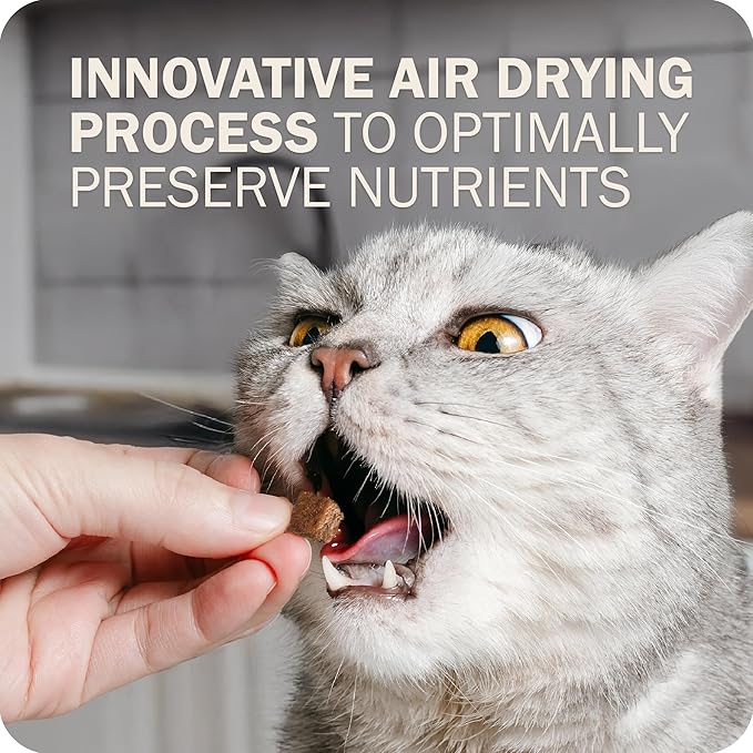 Redbarn Air Dried Powerfood for Cats with Real Chicken – Made in USA High Protein, Grain-Free Dry Cat Kitten Food Full Meal or Topper for Picky Eaters Supports Energy & Healthy Skin Coat – 2.5oz Trial