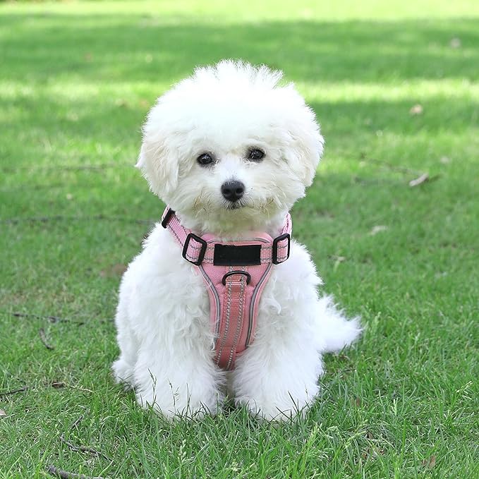 Demigreat Dog Harness, Reflective Vest with 5 Patches, Adjustable Soft Oxford, Inner Mesh, Prevent Pulling, Easy Control for Small Medium Large Dogs