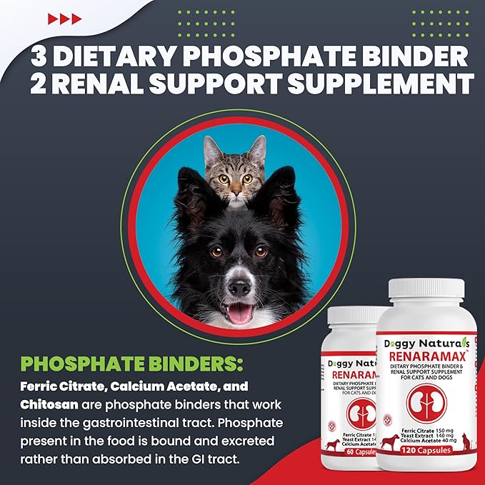 RENARAMAX Dietary Phosphate Binder and Renal Support Supplement for Cats & Dogs, 60 Count (Made in U.S.A)