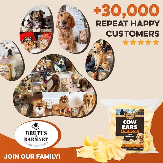 Cow Ears for Dogs – Thick Cut, Grass-Fed Angus Beef, All-Natural No-Rawhide Dog Treat Alternative