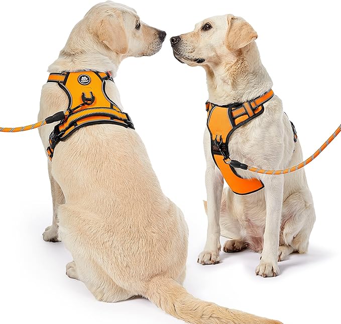 NESTROAD No Pull Dog Harness,Adjustable Oxford Dog Vest Harness with Leash,Reflective No-Choke Pet Harness with Easy Control Soft Handle for Small Dogs(Small,Orange)