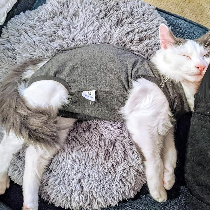 DOTON Cat Recovery Suit for Male and Female Surgical Post Surgery Soft Cone Onesie Shirt Clothes Neuter Licking Protective Diapers Outfit Cover Kitten Spay Collar(M, Grey)