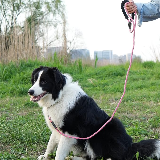 NTR Long Leash, 100FT Leash for Large Breed Dogs with Swivel Lockable Hook and Padded Handle, Pink Dog Lead for Walking, Hunting, Camping, Yard