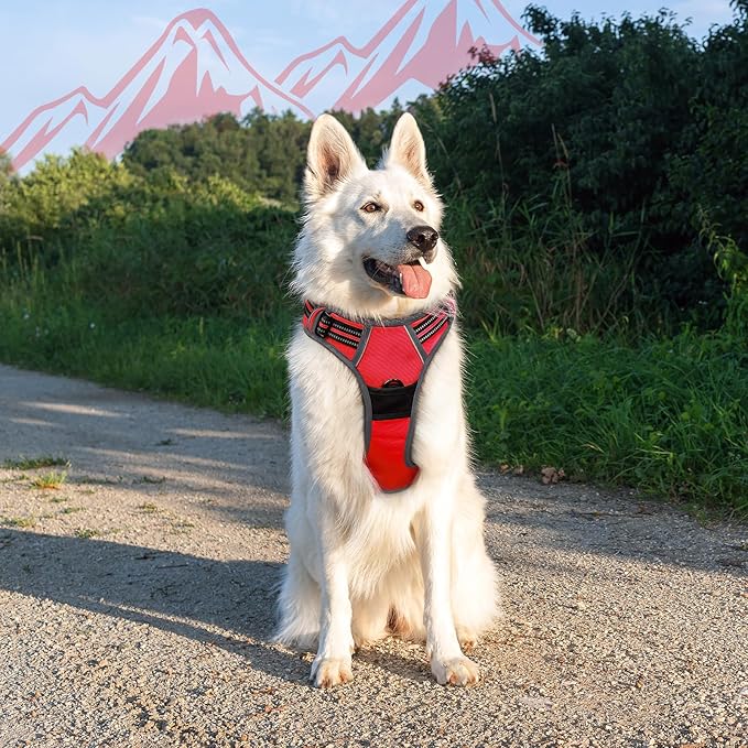 Eagloo Dog Harness Large Breed, No Pull Service Vest with Reflective Strips and Control Handle, Adjustable and Comfortable for Walking, No Choke Pet Harness with 2 Metal Rings, Red, XL