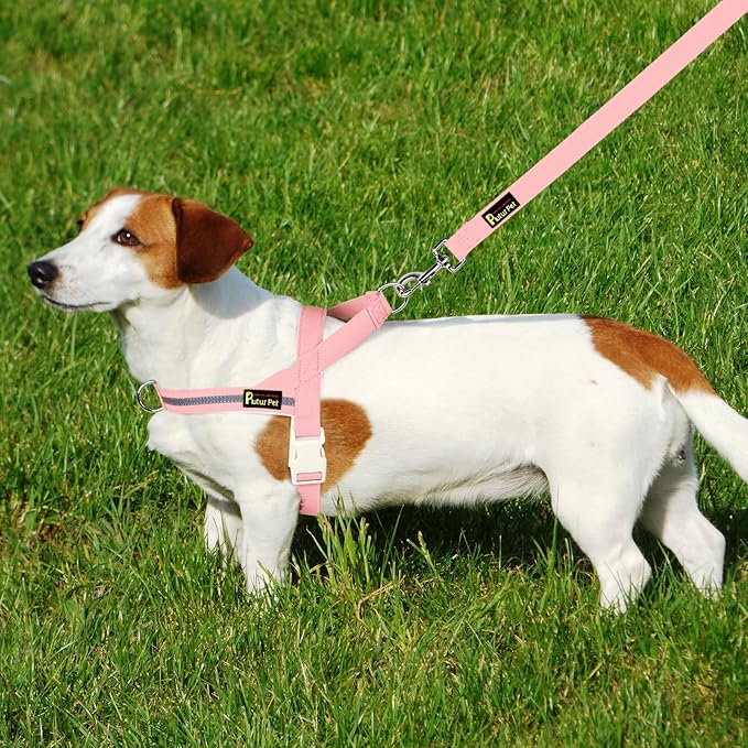 Plutus Pet Cotton Dog Harness and Leash Set, Reflective and Soft Padded, Quick Fit Vest Harness, for Small, Medium and Large Dogs, Pink, XS