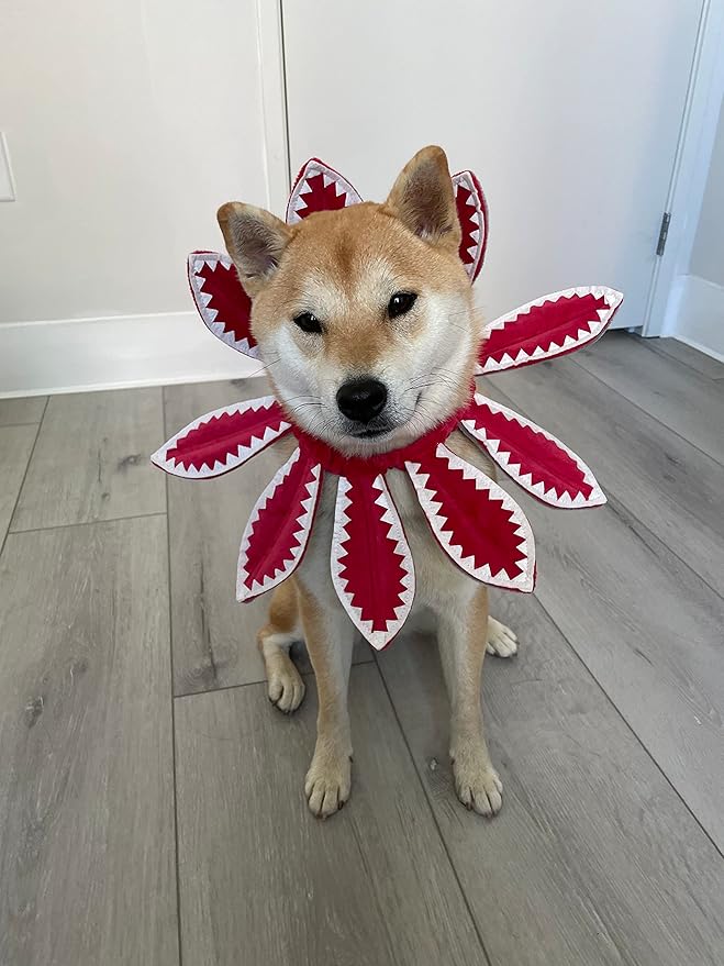 ComfyCamper Red Flower Dog Costume - X Large Medium Small French Lab Retriever Shepherd Pet Cosplay Halloween Costumes (Small)