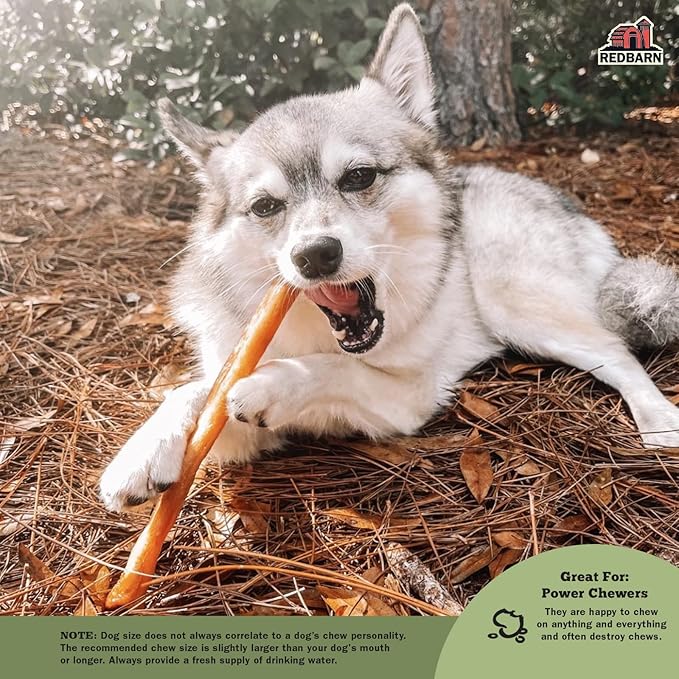 Redbarn Pet Products All-Natural Large 12" Beef Collagen Sticks for Dogs - Long Lasting Low-Odor Alternative to Traditional Rawhide & Bully Sticks - Supports Healthy Joints, Skin, & Coat - 3 Pack