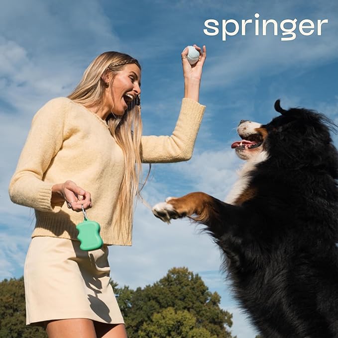 Springer Dog Treat Pouch for Effort-Free Squeeze Dispensing - Easy-fill, Food-Grade Silicone Treat Pouches for Pet Training - Includes Carabiner-Black