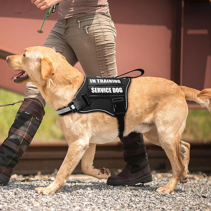 Service Dog Vest Harness and Leash Set+10 Patches,No Pull&Easy Walk Reflective Dog Harness with Soft Padded Handle for Training/Everyday,Fit Small/Medium/Large/Extra-Large Dogs (Black S)