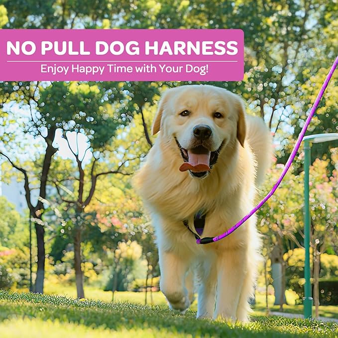 FURRYFECTION Dog Harness | No Pull Dog Harness | Reflective Oxford | Padded Handle | 4 Adjustable Straps | 2 Leash Clips | No Choke Pet Vest Harness for Small Medium Large Dogs | Rose | S