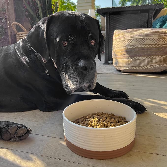 Mora Ceramic Pet Bowl - Large Food/Water Dish for Large Dogs, Cats, Great Dane, Mastiff - 50oz or 8 Cups - Basic Bowls - Vanilla White