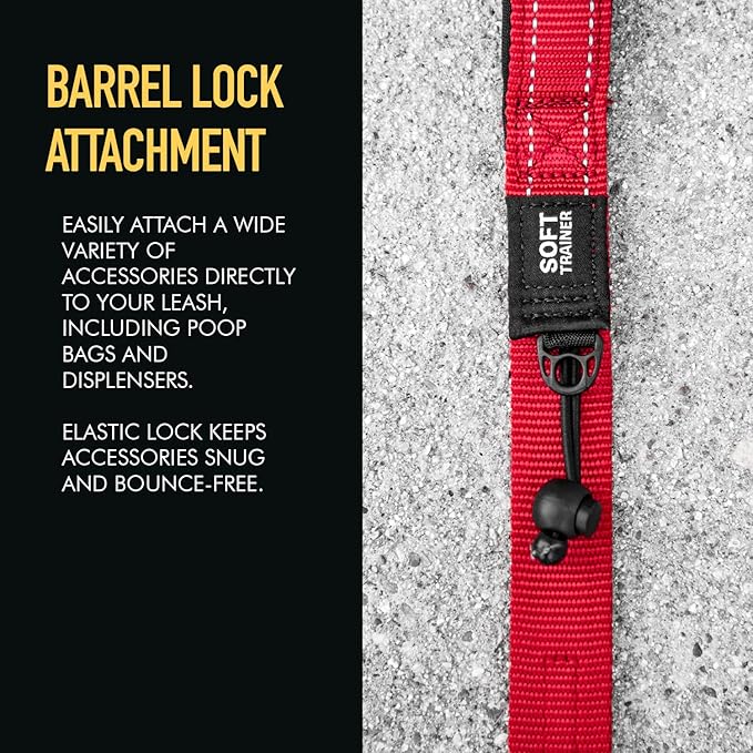 EzyDog Soft Trainer Dog Leash with Traffic Control Handle - Reflective Stitching for Nighttime Safety and Superior Strength and Comfortability for Training Small Dogs (Under 26 lbs) (72”, Orange)