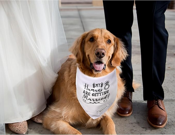 Realeaf Engagement Gift, My Humans are Getting Married Dog Bandana, Dog Wedding Outfit for Boy and Girl, Premium Durable Fabric, Dog Engagement Announcement for Medium and Large Dogs Pets (Large)