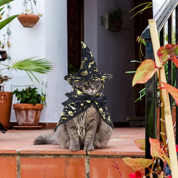 Frienda 2 Pieces Halloween Cat Costume Funny Wick Pet Vampire Cloak Witch Cape and Hat for Kitten Puppy Small Cat Dog Cosplay Halloween Party Supplies(Glitter Pumpkins)