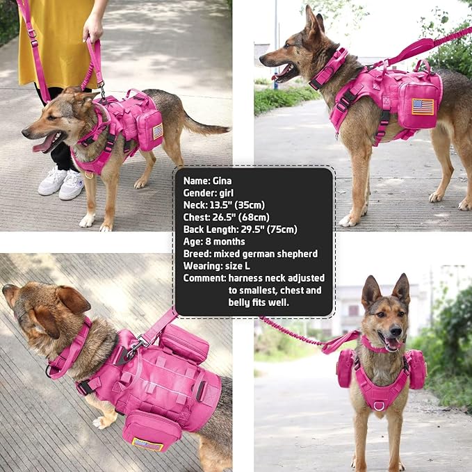 Forestpaw Pink Tactical Dog Harness for Large Dogs,Tactical Dog Collar with Bungee Leash Set,No Pull Military Dog Harness for Walking Training,Adjustable for Medium Large Dogs,Chest 15.5-25.5"