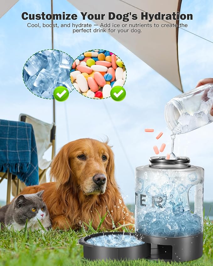 77oz Large Dog Water Bottle Travel - Portable Dog Travel Water Dispenser with Bowl, Ideal for Travelling, Hiking, Camping, Parks, Outdoor, Black