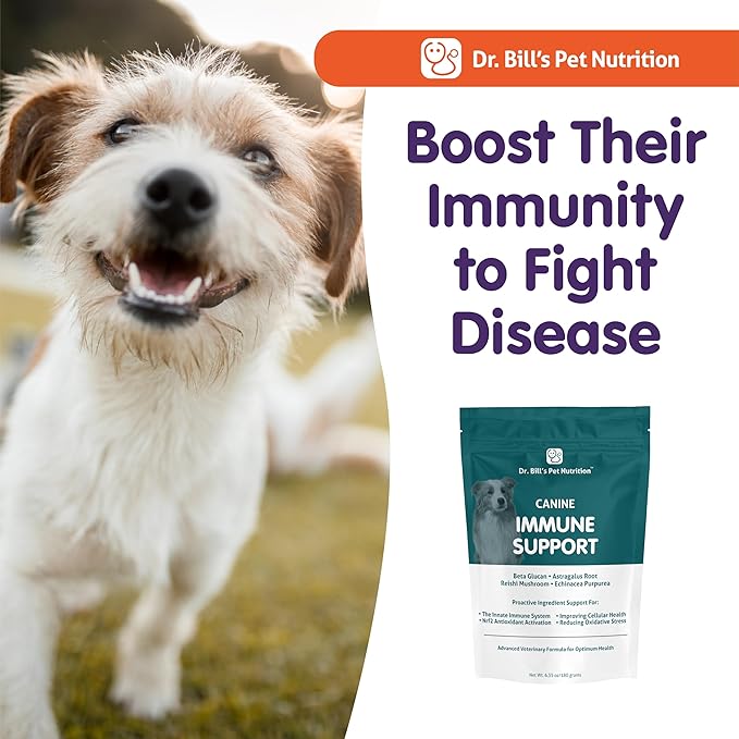 Dr. Bill’s Canine Immune Support | Boosts Dog Immunity and Health with Colostrum, Beta Glucan, Turkey Tail Mushroom, Zinc & Vitamin C | Powder Supplement for Dogs of All Ages