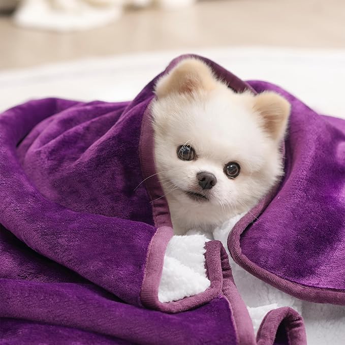 gogobunny Waterproof Pet Blanket for Small Dogs and Cats, Reversible Sherpa Fleece Soft Plush Throw for Couch Protection, Washable Furniture Protector (Dark Purple, 30x40 inches)