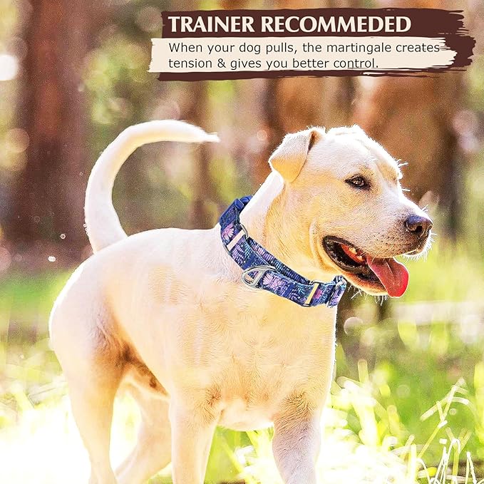 Martingale Collar for Dogs - No Slip Choke Heavy Duty Collar with Reflective Nylon, Quick Release Buckle & Bohemian Floral Pattern for Training, Walking & Overexcited Dogs M