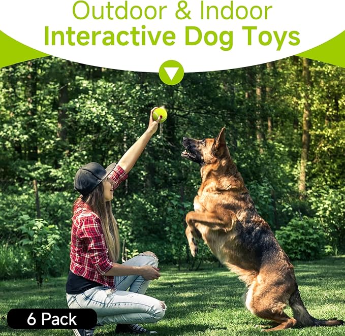 HETOO Tennis Balls for Dogs: 6 Pack 2.5 Inch Dog Balls- Dog Tennis Ball- Outdoor Dog Toys Dogs Water Toys- Dog Toys Ball for Medium Large Dogs for Training Exercise Fetch- Yellow