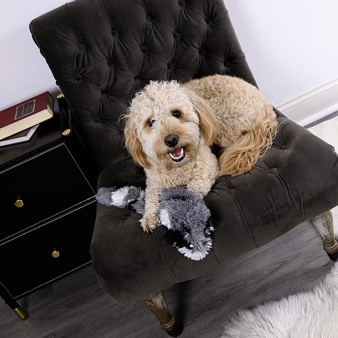 FGA MARKETPLACE Racoon Flat NO Stuffing NO Squeak Plush Dog Toy, Funny Style Will Entertain Your Pet for Hours, Recommended for Small and Medium Dog 21 INCH Long