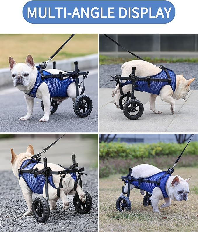 Small Dog Wheelchair for Back Legs, Upgraded 5.5in Textured Wheel, Adjustable, Disabled Pets, Leg Brace, Mobility Aid for Small Pets, Hind Limb Rehabilitation, Older, Disabled (XS(Chest 12.6-16.1in))